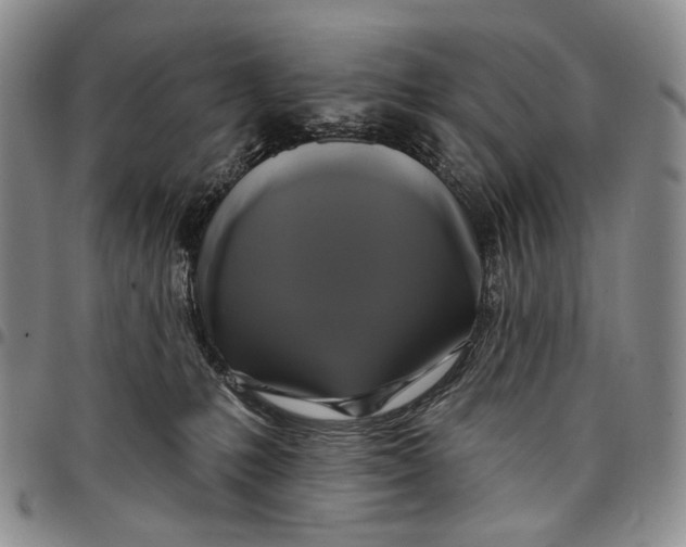 X0000097990231200804141149