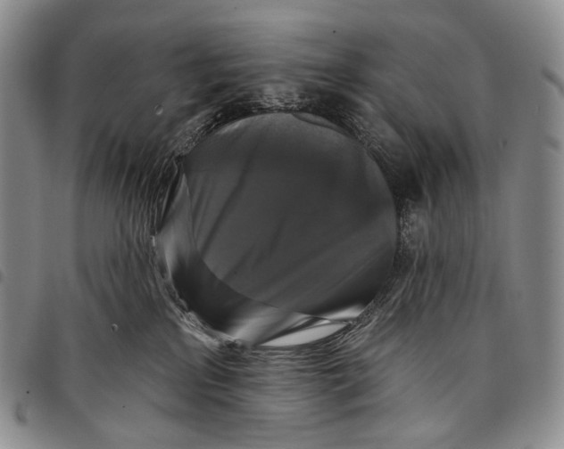 X0000097990233200804141149