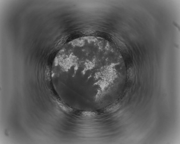 X0000097990234200804141149