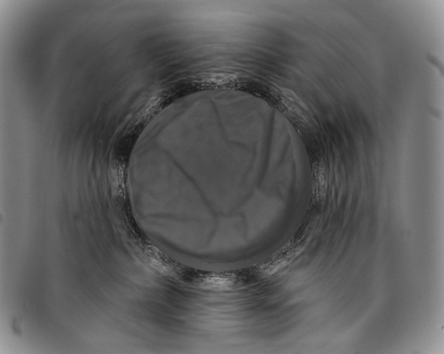 X0000097990236200804141149