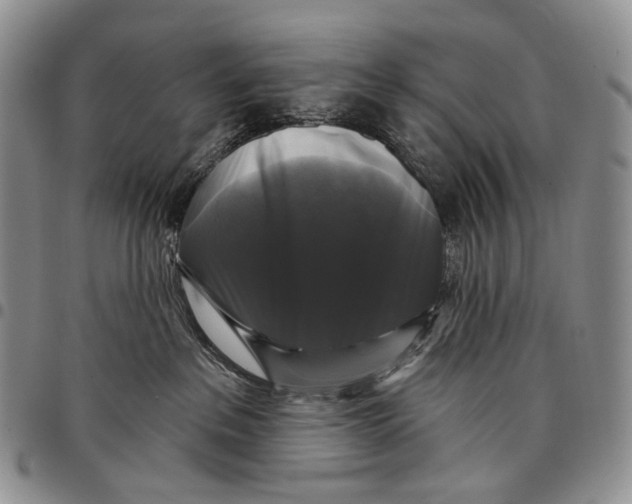 X0000097990237200804141149