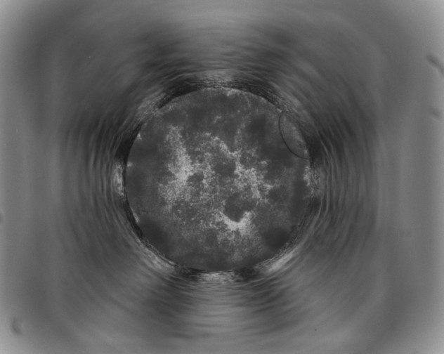 X0000097990238200804141149