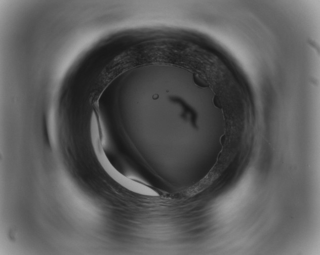 X0000097990239200804141149