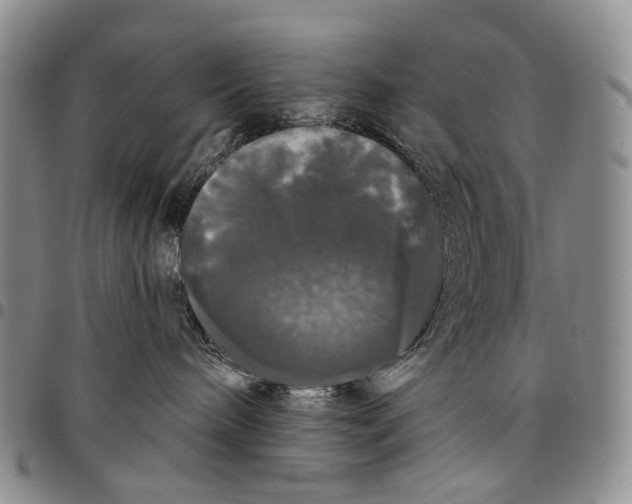 X0000097990240200804141149