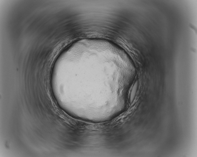 X0000097990241200804141148