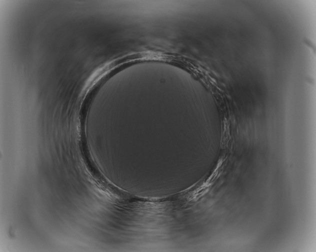 X0000097990247200804141148