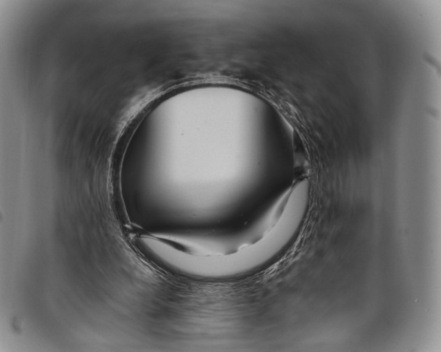 X0000097990248200804141148