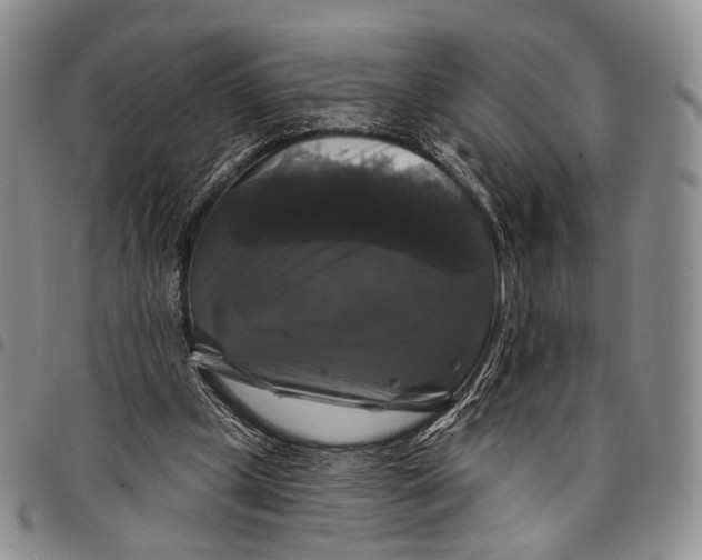 X0000097990249200804141148