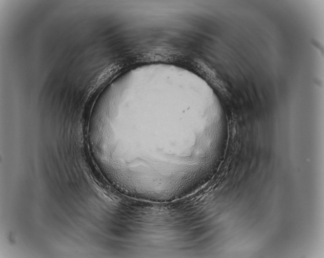 X0000097990250200804141149