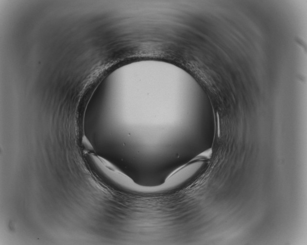 X0000097990252200804141149