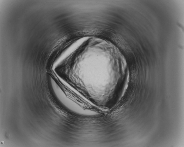 X0000097990254200804141149