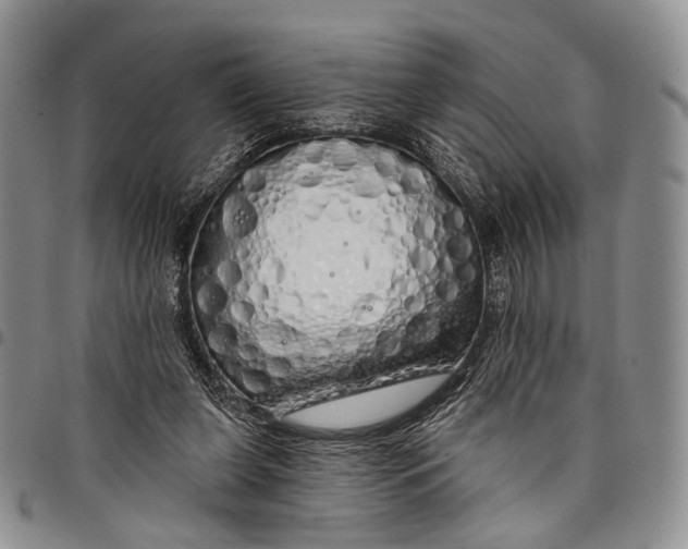 X0000097990255200804141149