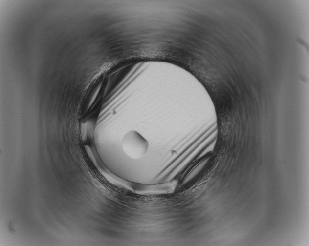 X0000097990256200804141149