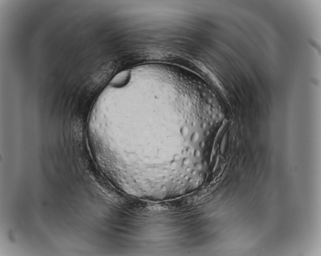 X0000097990257200804141149