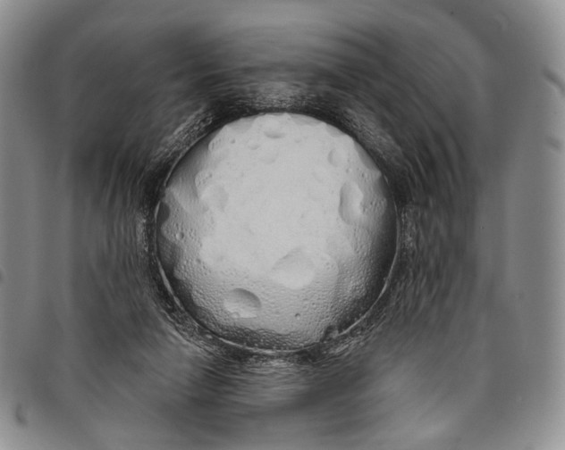 X0000097990258200804141149