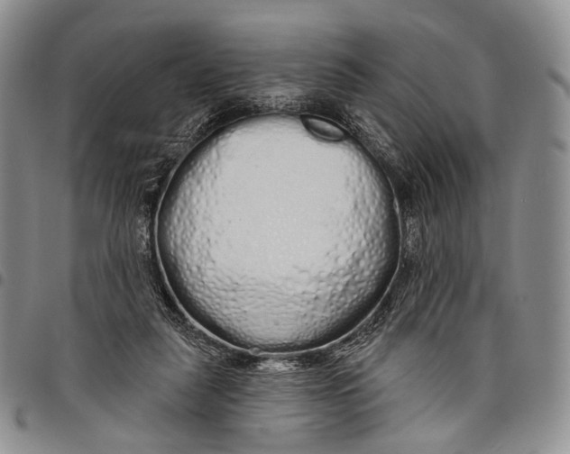 X0000097990259200804141149