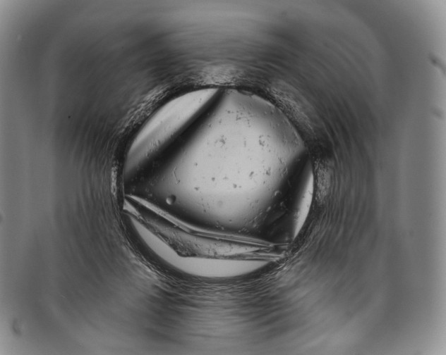 X0000097990260200804141149