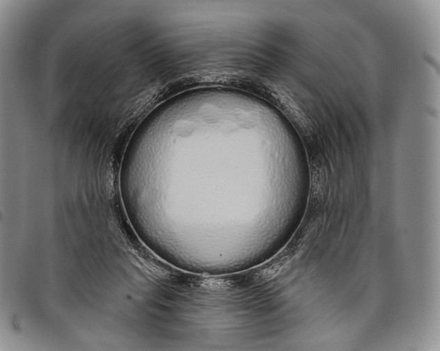 X0000097990261200804141149