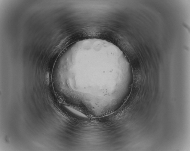 X0000097990262200804141149