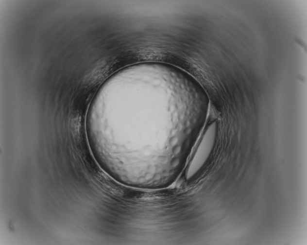 X0000097990263200804141149