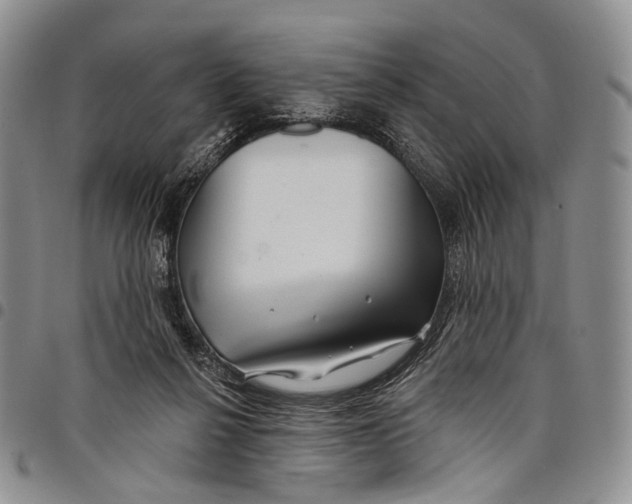 X0000097990264200804141149