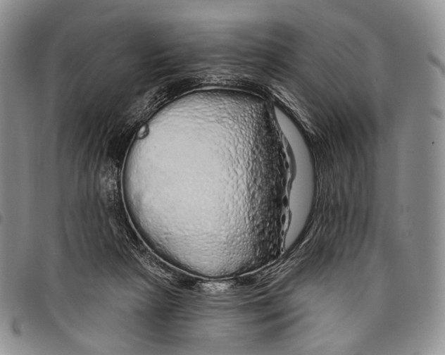 X0000097990265200804141149