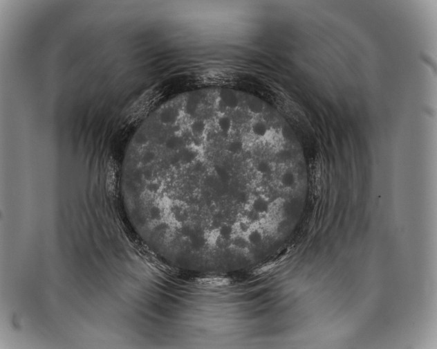 X0000097990266200804141149