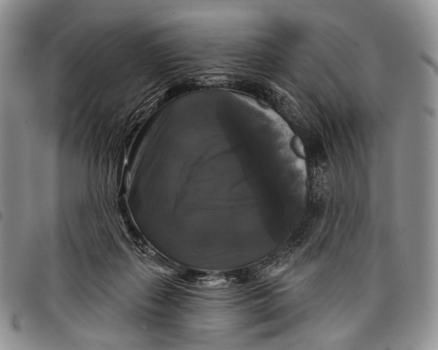 X0000097990267200804141149