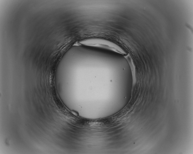 X0000097990268200804141149