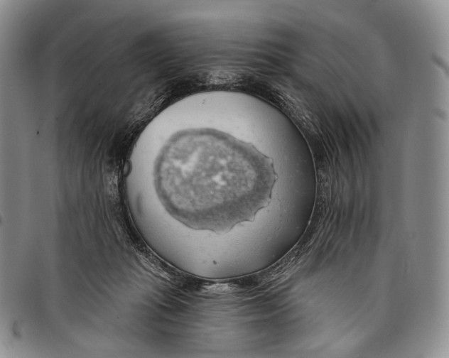 X0000097990269200804141149