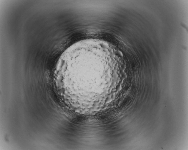 X0000097990270200804141149