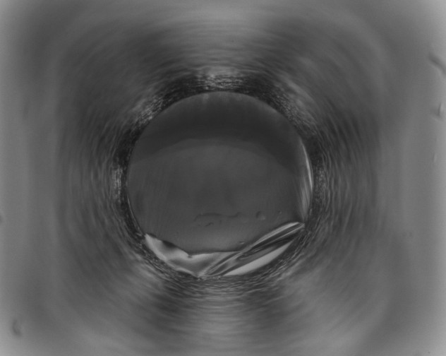 X0000097990271200804141149