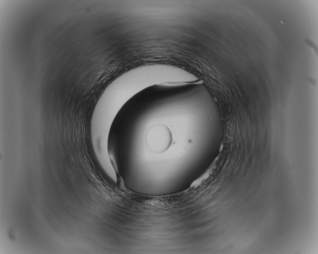 X0000097990272200804141149