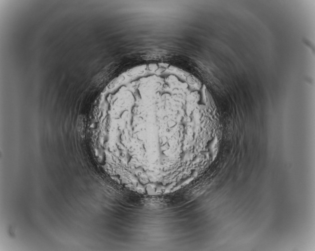 X0000097990273200804141149