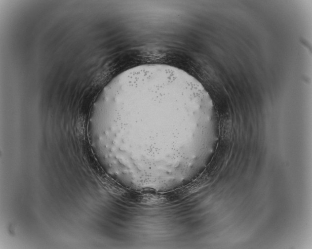 X0000097990274200804141149