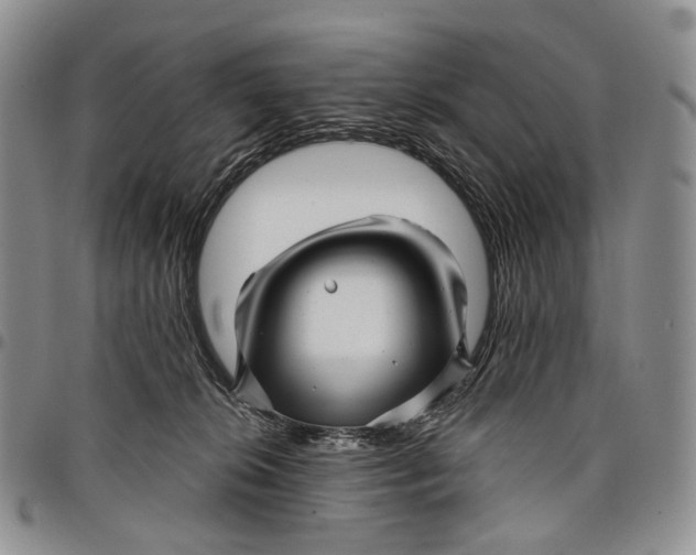 X0000097990276200804141149