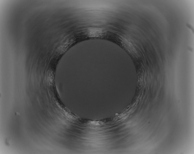 X0000097990277200804141149