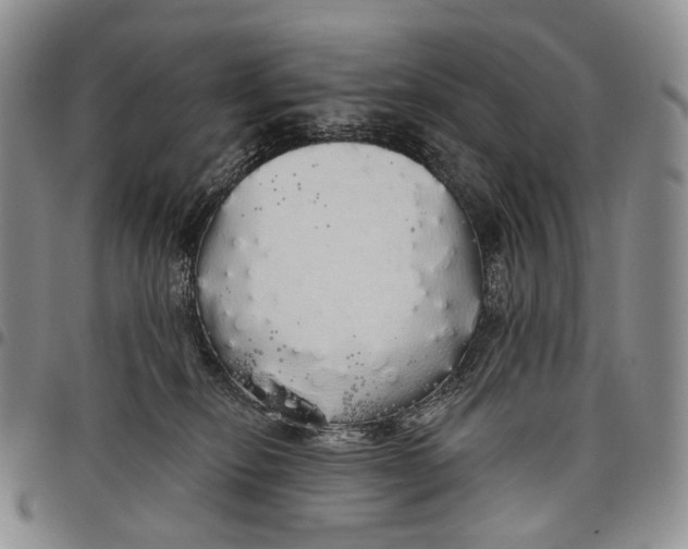 X0000097990278200804141149