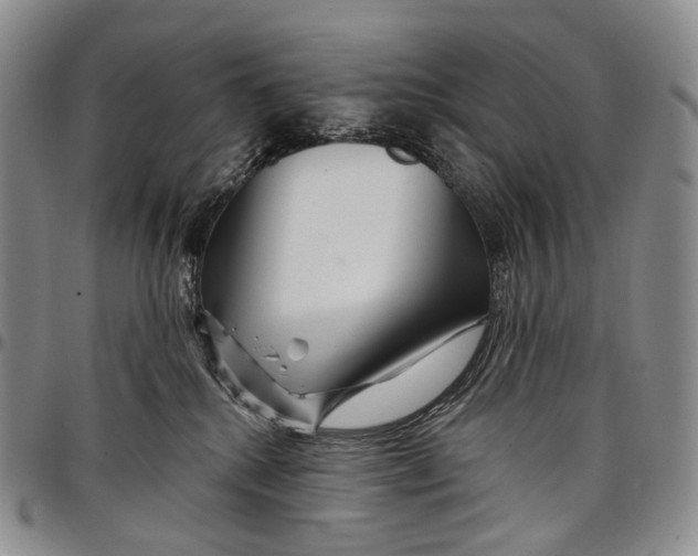 X0000097990280200804141149