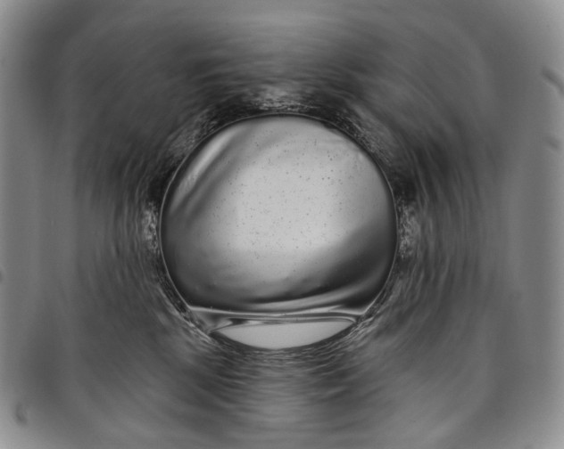 X0000097990281200804141149