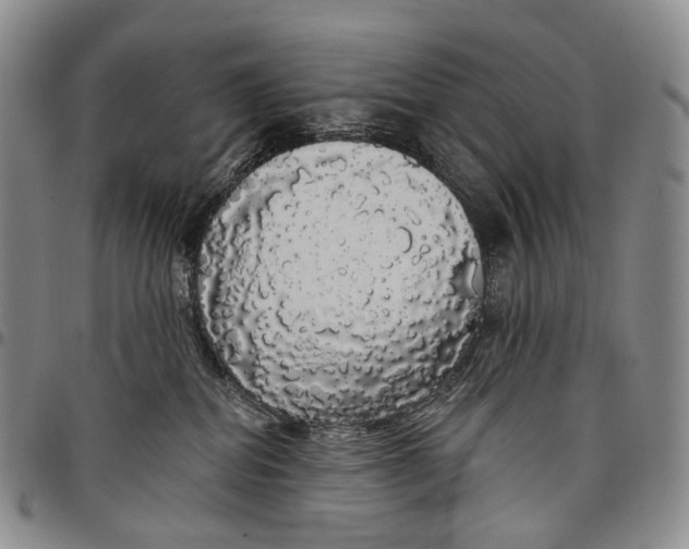 X0000097990282200804141149