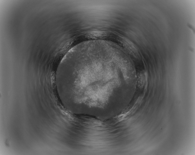 X0000097990284200804141149