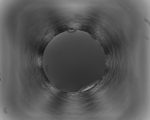 X0000097990285200804141149