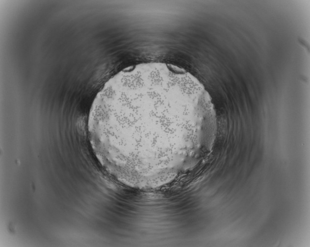 X0000097990286200804141149