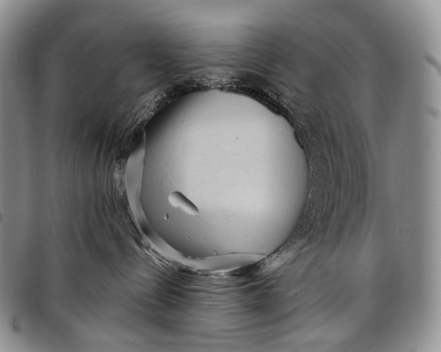 X0000097990288200804141149