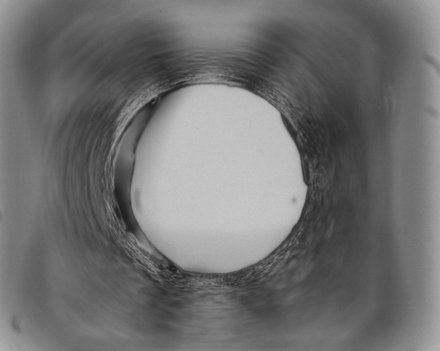 X0000097990289200804141148