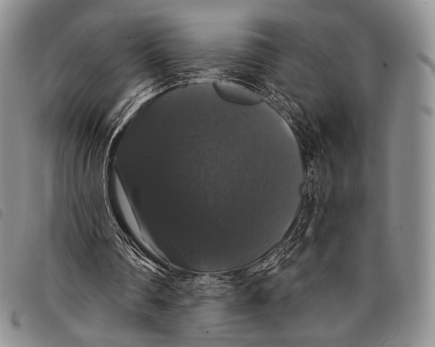 X0000097990290200804141148