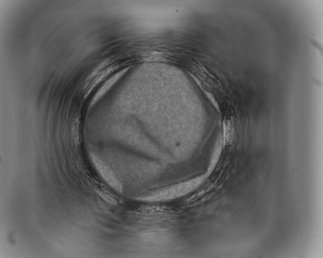 X0000097990291200804141148