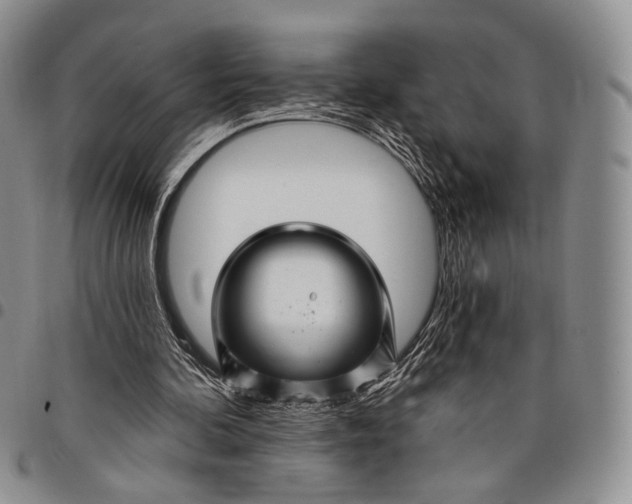 X0000097990292200804141148