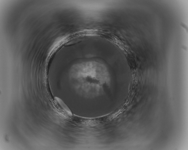 X0000097990293200804141148